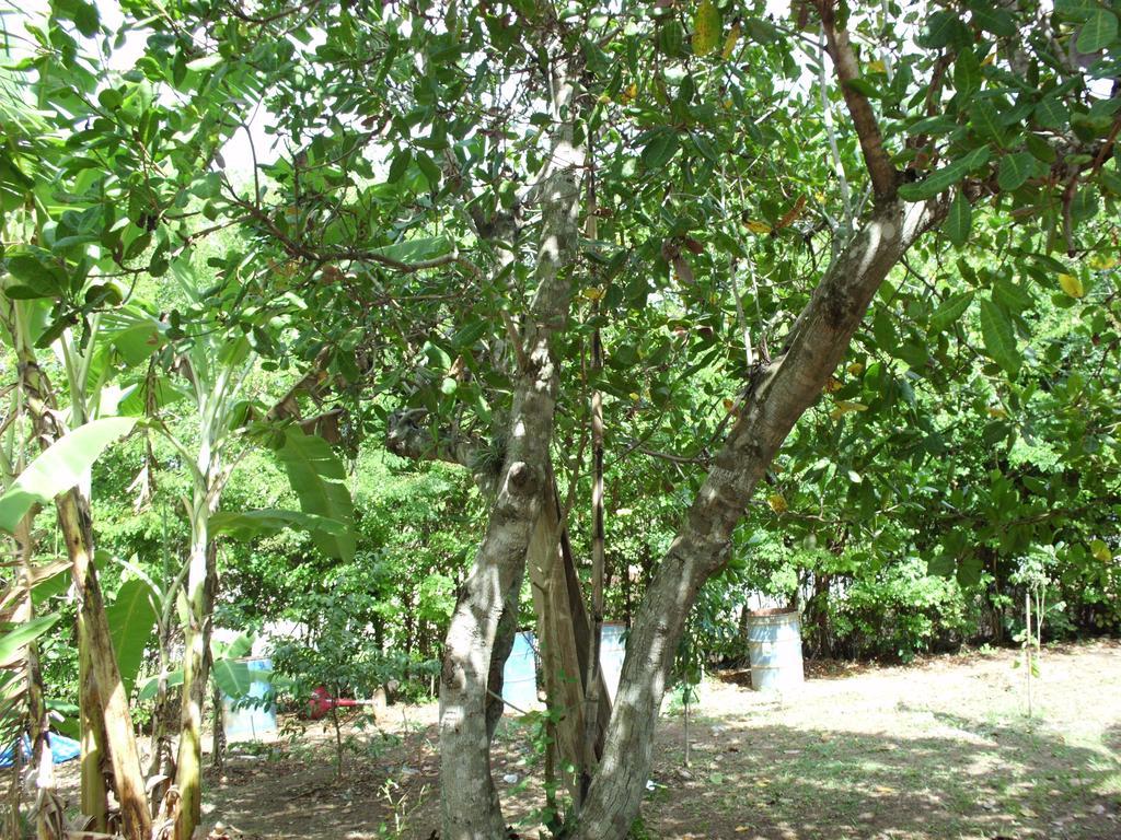 Pousada Pimenta Rosa Saquarema Esterno foto